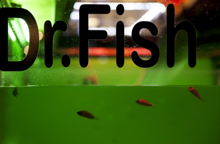 Fish spa