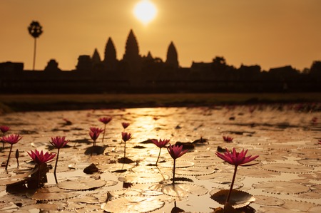 Beautiful sunrise at Angkor Wat temple with lily pond flowersの写真素材