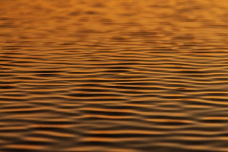 Water ripples in a pond  at sunsetの写真素材