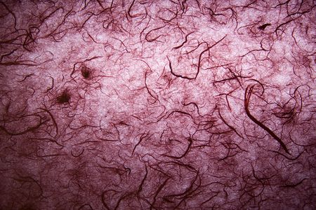 decorativ paper fury surface  under lightの写真素材