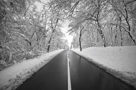 Clean country road in winter time.の写真素材