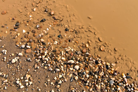 Gravel and mud in the muddy water on the shoreの写真素材