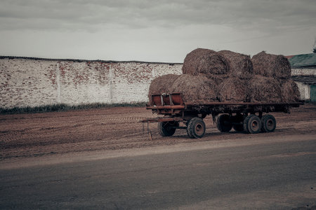 Round hay bales loaded on farmer's wagons ready to be transported by tractor to the barn for storage. Zawady Gmina Rzeczyca Polandの写真素材