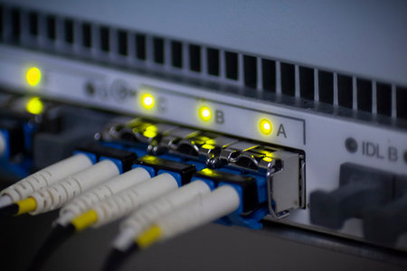 Connecting radio modules to the base station with an optical cable