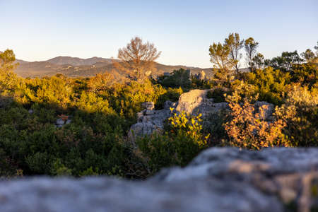 Landscape of the Mer de Rochers at sunrise, in the Cevennes foothills of Sauve (Occitanie, France)の写真素材