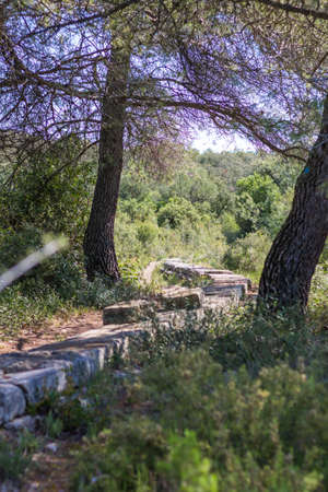 Stone walkway in the forest on the island of Rhodes, Greece