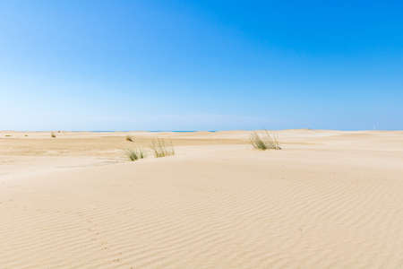 Sand dune landscape at Pointe de l'Espiguette on the Mediterranean coast (Occitanie, France)の写真素材