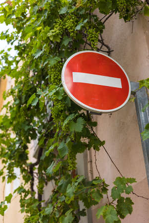 No entry sign on the wall with green grape leaves in the background