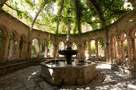 Fountain covered with a dome and a vine from the cloister of the abbey of Valmagne (Occitanie, France)のeditorial素材
