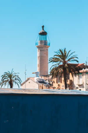 A seagull sits on the edge of a building with a lighthouse in the background