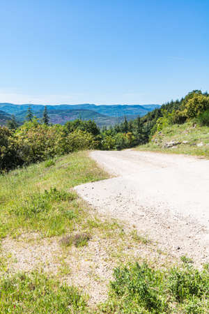 Dirt road in the mountains on a sunny summer day. Carpathians, Ukraine