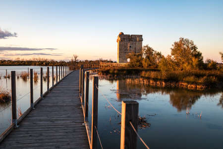Sunset view of the old tower in the center of the city.の写真素材