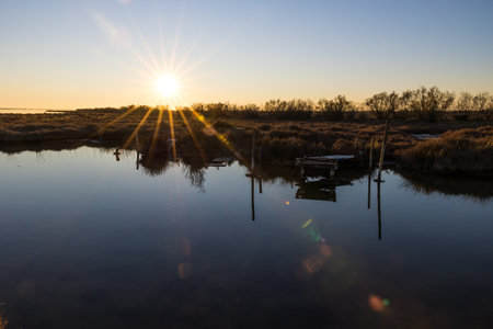 Landscape of the Etang de l'Or from Candillargues at sunset (Occitanie, France)の写真素材