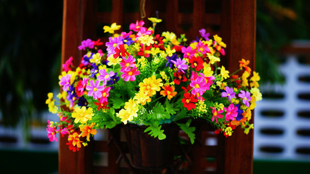 colorful flowerの写真素材