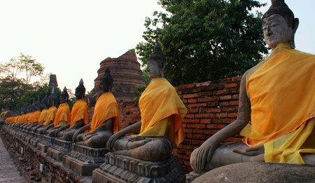 Old buddha relugion ayuttaya thailand.