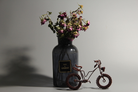 Dried flowersのeditorial素材