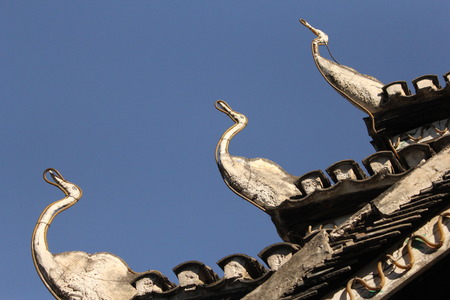 Eaves of the Chinese national garden