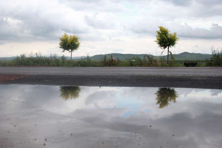 The reflection of two small trees in the stagnant water beside the highwayの写真素材