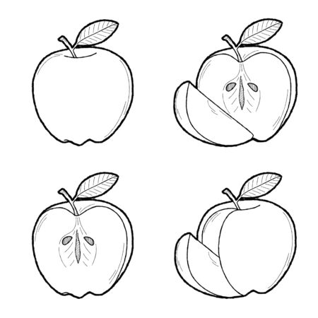Apple Vector Illustration Hand Drawn Fruit Cartoon Artのイラスト素材