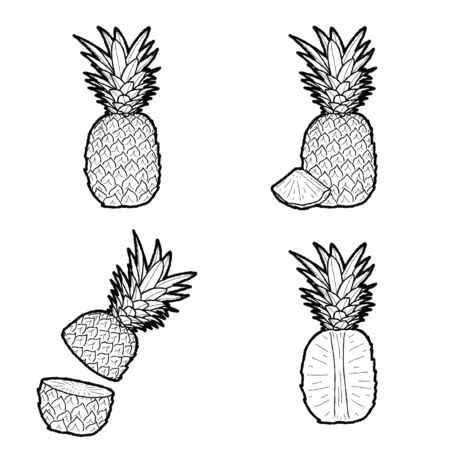 Pineapple Vector Illustration Hand Drawn Fruit Cartoon Arのイラスト素材