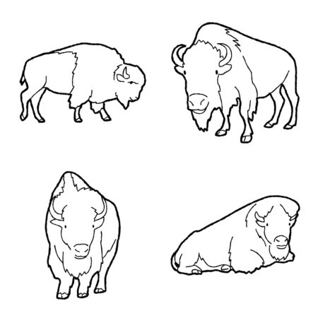 American Bison Vector Illustration Hand Drawn Animal Cartoon Artのイラスト素材