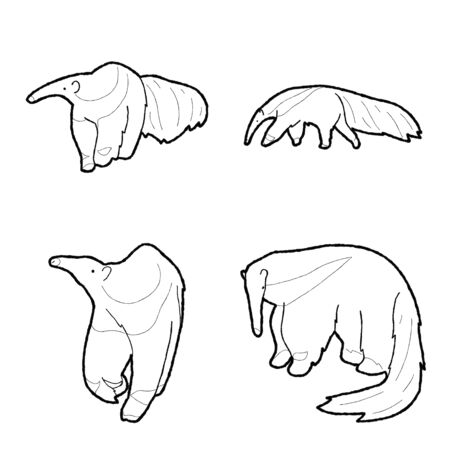 Anteater Animal Vector Illustration Hand Drawn Cartoon Artのイラスト素材