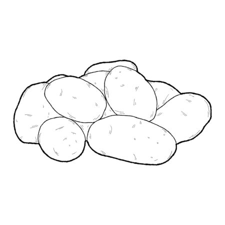 Potato Vector Illustration Hand Drawn Vegetable Cartoon Artのイラスト素材