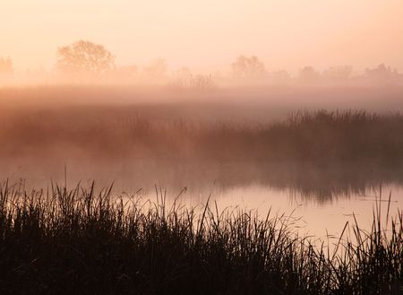 Sunrise through the mist over a small pond.