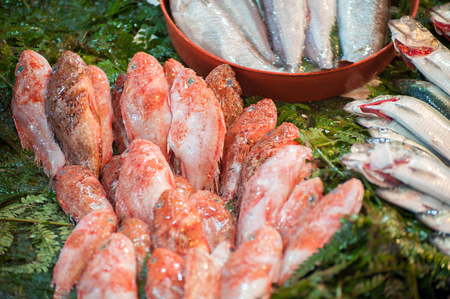 Fresh raw red fish on saleの写真素材