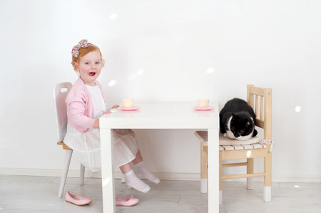 Tea drinking of the girl and her catの写真素材