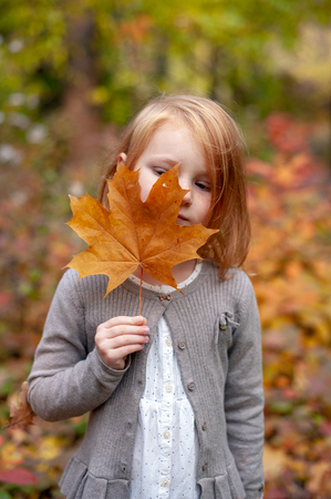The girl is holding a yellow maple leafの写真素材