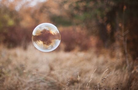 Soap bubble flies on an autumn backgroundの写真素材