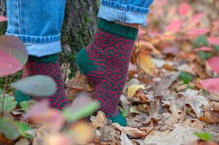 Handmade knitted socks on the background of leavesの写真素材