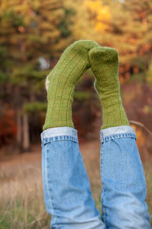 Handmade knitted socks on the background of natureの写真素材