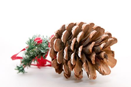 Large pine cone christmas decoration.