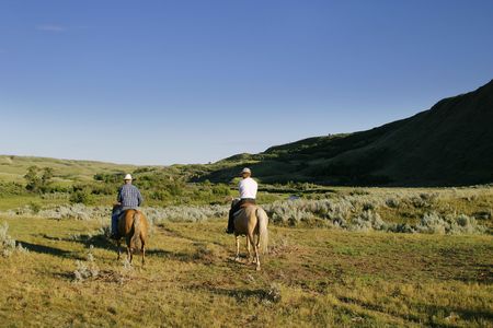 Cowboys on a cattle round up.の写真素材