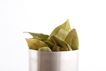 Bulk Bay Leaves (Laurus nobilis)の写真素材