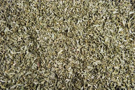 Parsley background textureの写真素材