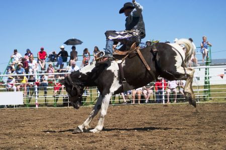 Saddle Bronc riding at the Herbert Rodeoの写真素材