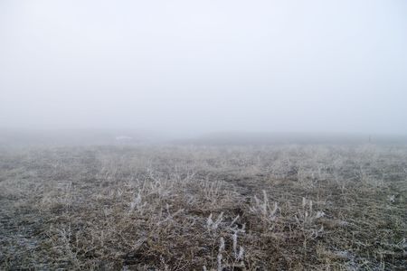 Prairie fog landscape in the winter.の写真素材