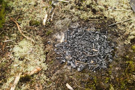 The remains from a camp fire in the forest.