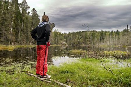 Dead trees and other living things in a marsh near Oslo, Norway with a person overlooking the waterの写真素材
