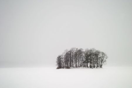 A grouping of trees on a frozen lake during winter, Oslo, Norway.  The picture is taken while it is snowing so visibility is limited.の写真素材