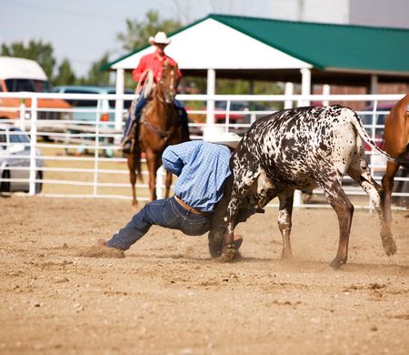 Steer wrestling at a local small town rodeoの写真素材