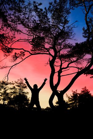 A person standing in the forest against the skyline celebratingの写真素材