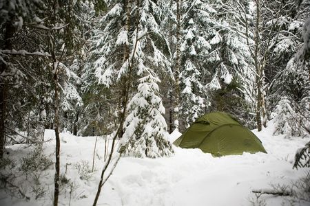 A tent in the forest during winterの写真素材
