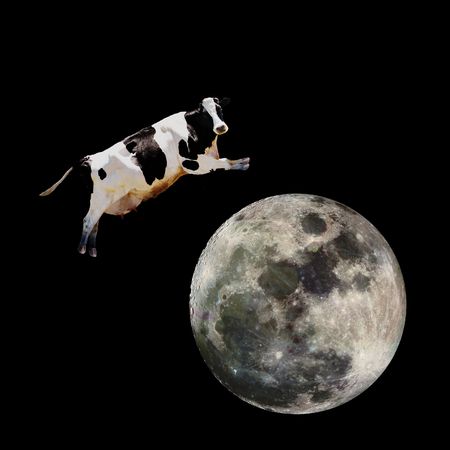 A cow jumping over the moonの写真素材