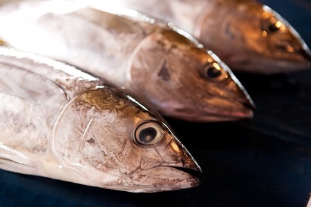 Three fresh fish at an outdoor marketの写真素材