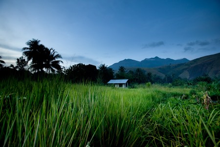 A mountain hut in the tropics - papua indonesiaの写真素材