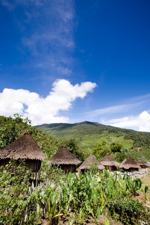 A traditional village in Papua, Indonesiaの写真素材